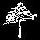 tree cad block