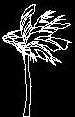 Tree CAD Block