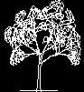 tree cad block