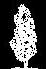 tree cad block
