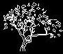tree cad block
