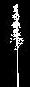 tree cad block