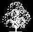 tree cad block