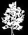 tree cad block