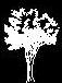 tree cad block