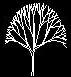 tree cad block