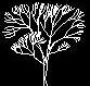 tree cad block