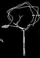 cad block
